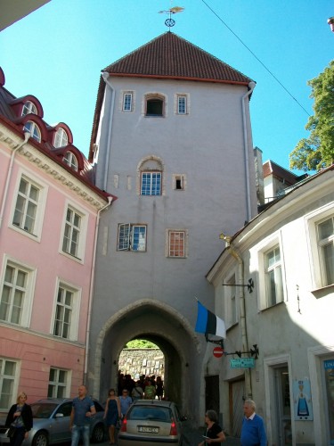 100_8220.JPG