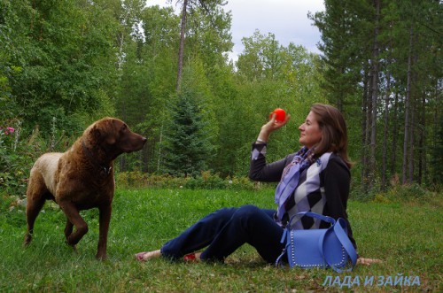 ВМ 11.jpg