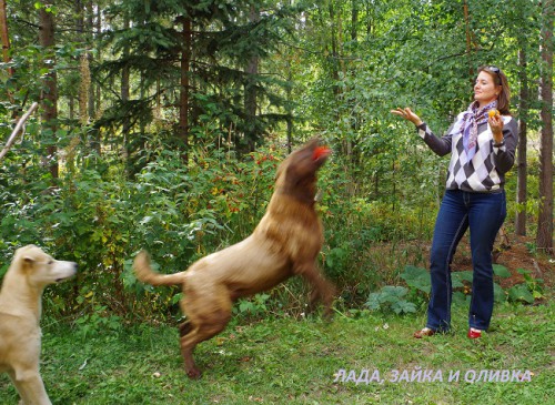 ВМ 15.jpg