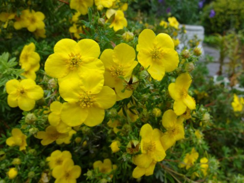 DSC04303.JPG