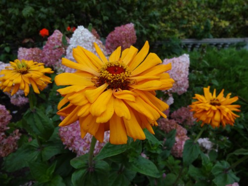 DSC04257.JPG