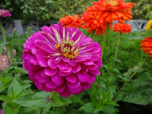 DSC04260.JPG