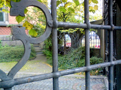 DSC00260.JPG