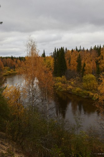 _N9O1154.jpg