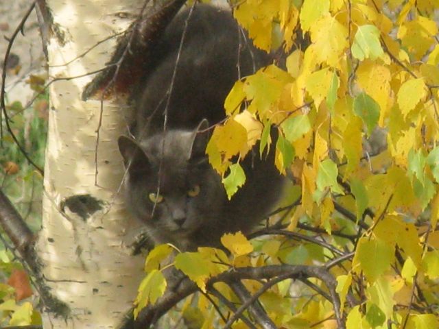 IMG_1013.jpg