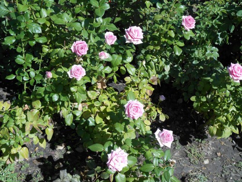 DSCN5734.JPG