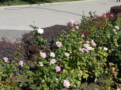 DSCN5733.JPG