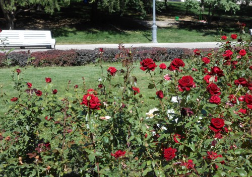 DSCN5721.JPG