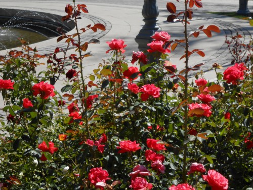 DSCN5675.JPG