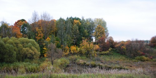 DSC_0259.JPG