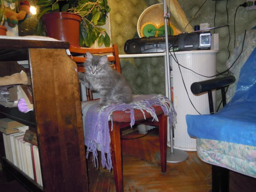 DSCN0499.JPG