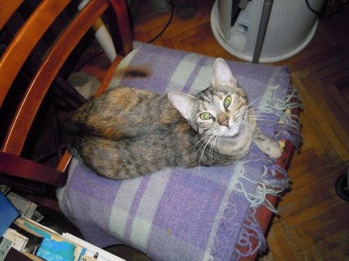 DSCN0473.JPG