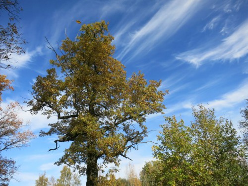 04.10.15 426 [Разрешение рабочего стола].jpg