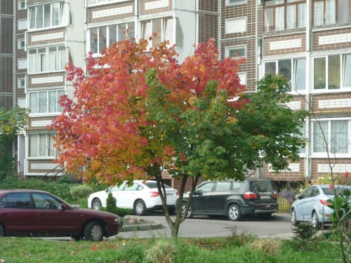 P1170245+.jpg