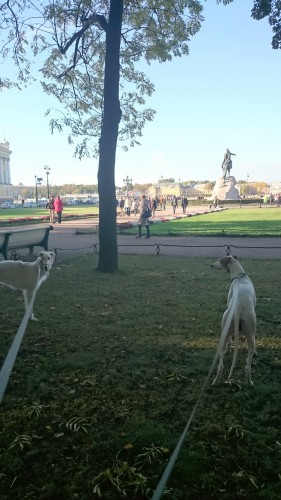 DSC_5764 мал2.jpg