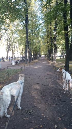 DSC_5771 мал исак3.jpg