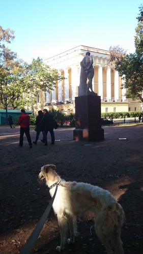 DSC_5769 мал адмил.jpg