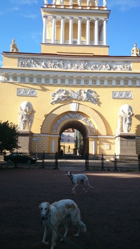DSC_5774 мал адм2.jpg