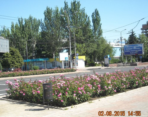 вид на Белый лебедь
