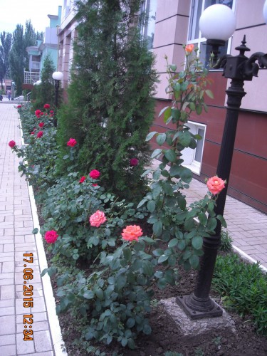 улица Зайцева
