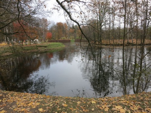 29.10.15 103 [Разрешение рабочего стола].jpg