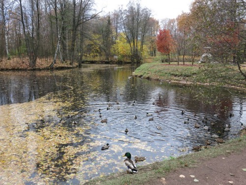 29.10.15 069 [Разрешение рабочего стола].jpg