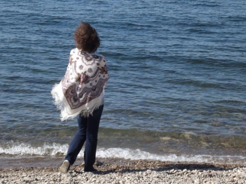 DSCF9517.JPG
