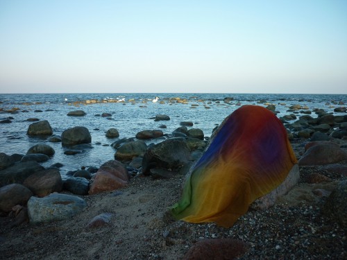 P1170413+.jpg