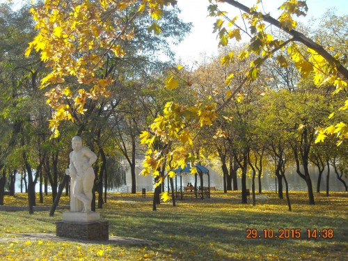 DSCN0093.jpg