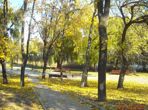 DSCN0079.jpg