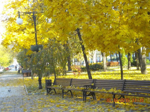 DSCN0157.jpg