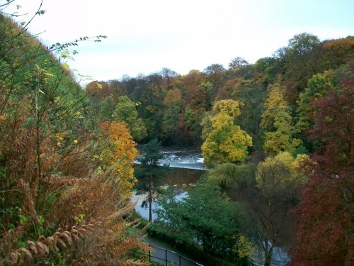 100_8655.JPG