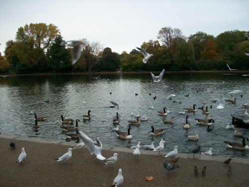 100_8489.JPG