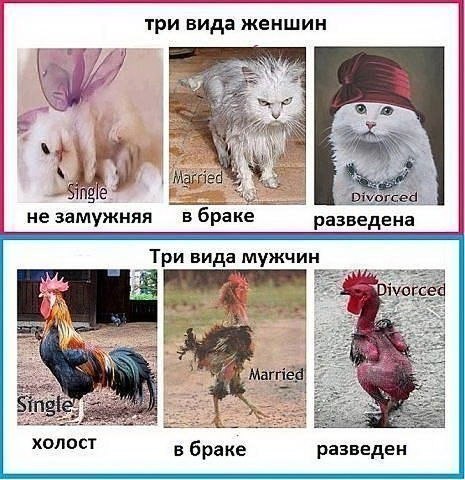 три.jpg