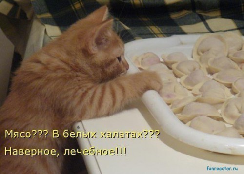 1365428215_y7ly-gmrbgk.jpg