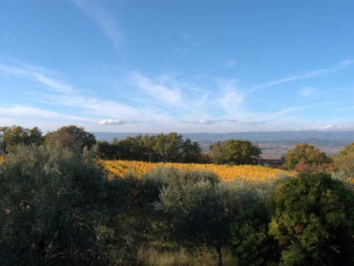 PB052107.jpg
