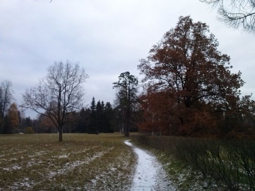 CAM00566.jpg