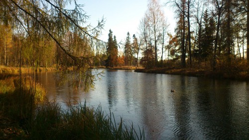 DSC_2510.JPG