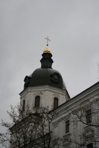 IMG_0640_новый размер.JPG