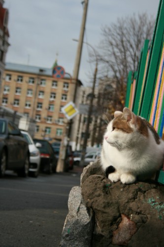 IMG_0842_новый размер.JPG