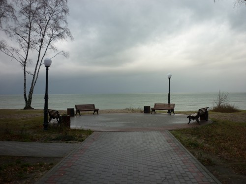 P1170565+.jpg
