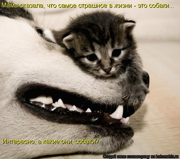 e0055c3d2f26.jpg