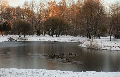 24.11.15 001-1 [Разрешение рабочего стола].jpg