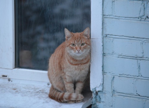 DSC_2989.jpg