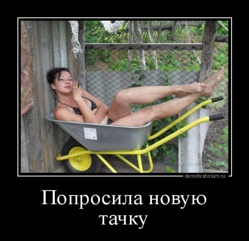 тачка.jpg
