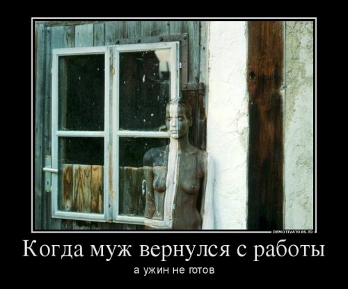 1443175755_demki-8.jpg