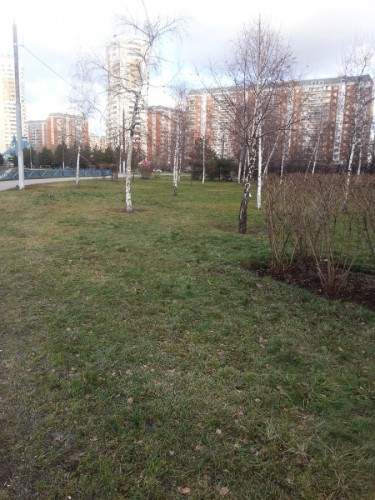 45643.jpg