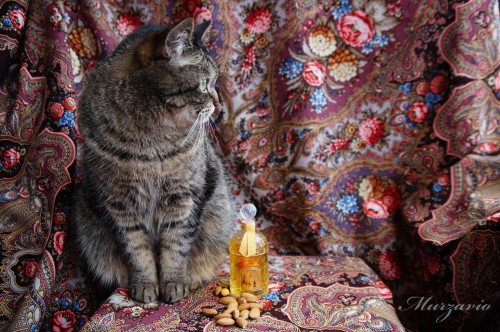 Герлен+Guerlain-1.jpg