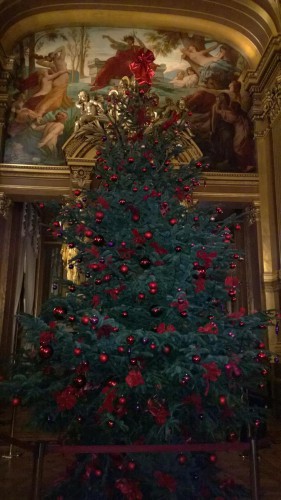 WP_20151209_20_11_41_Pro__highres (Copy).jpg