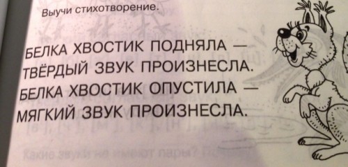 белочка у издателей учебников.jpeg